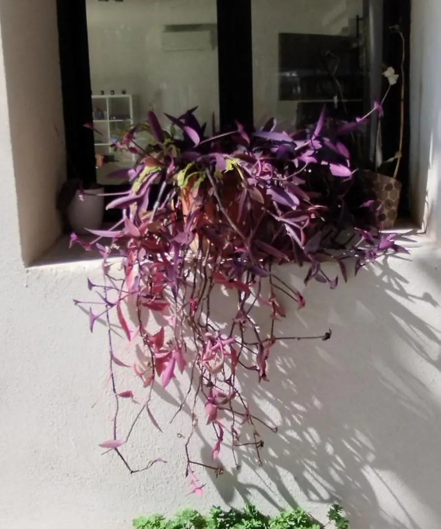 Holiday home Mas En Provence Villa Le Thor